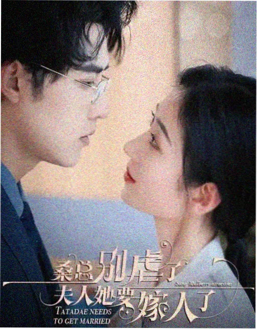 长夜拾光剧集封面